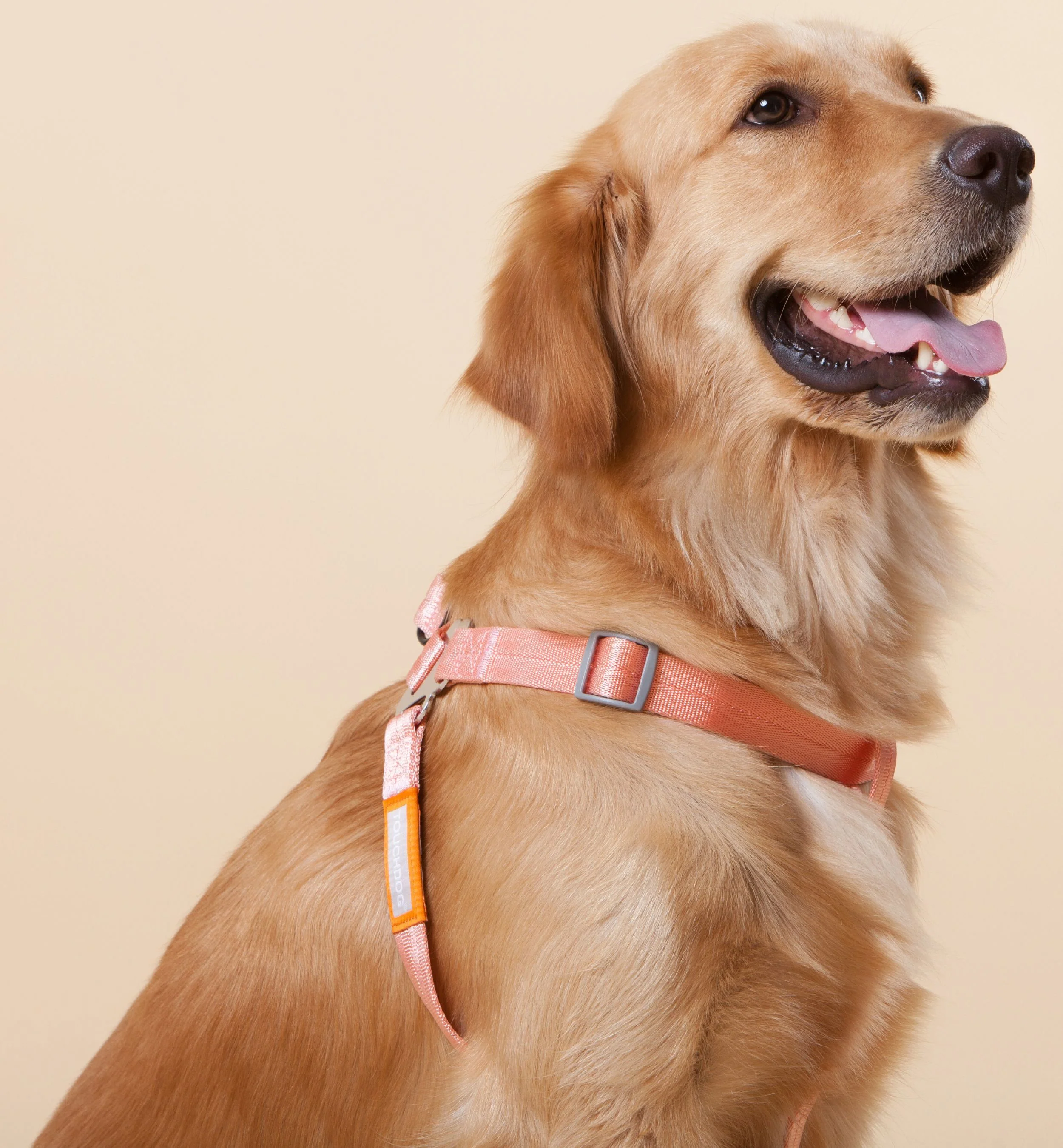 Touchdog ® 'Macaron' 2-in-1 Durable Nylon Dog Harness & Leash - Image 11